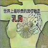 cŴ
